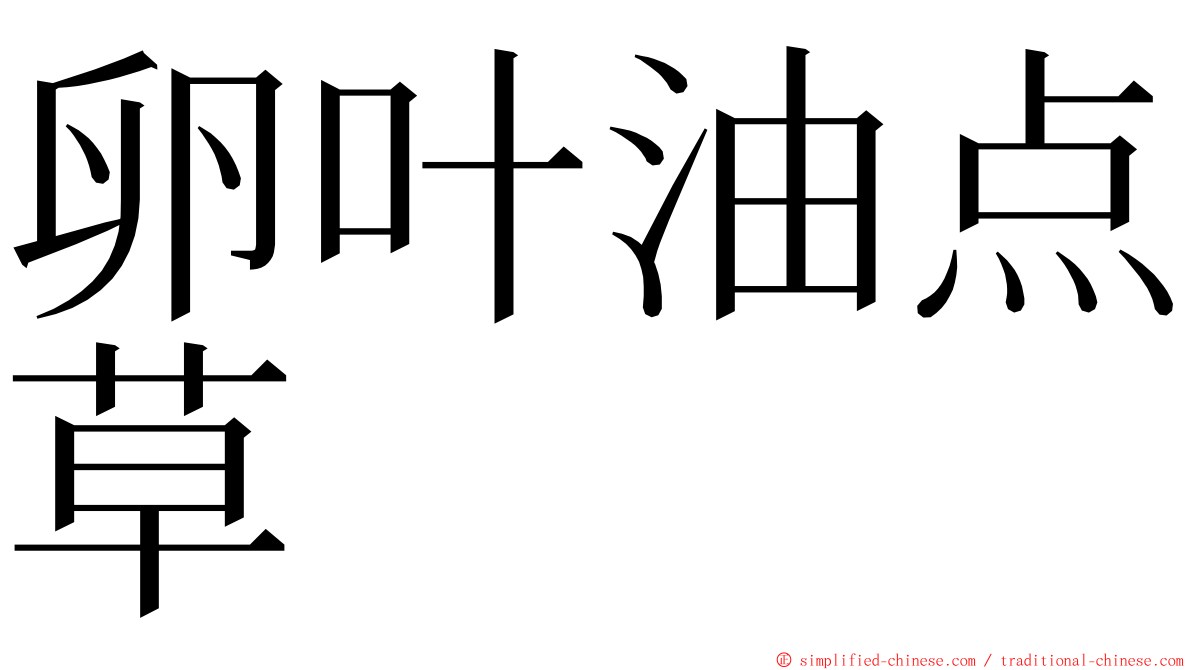 卵叶油点草 ming font