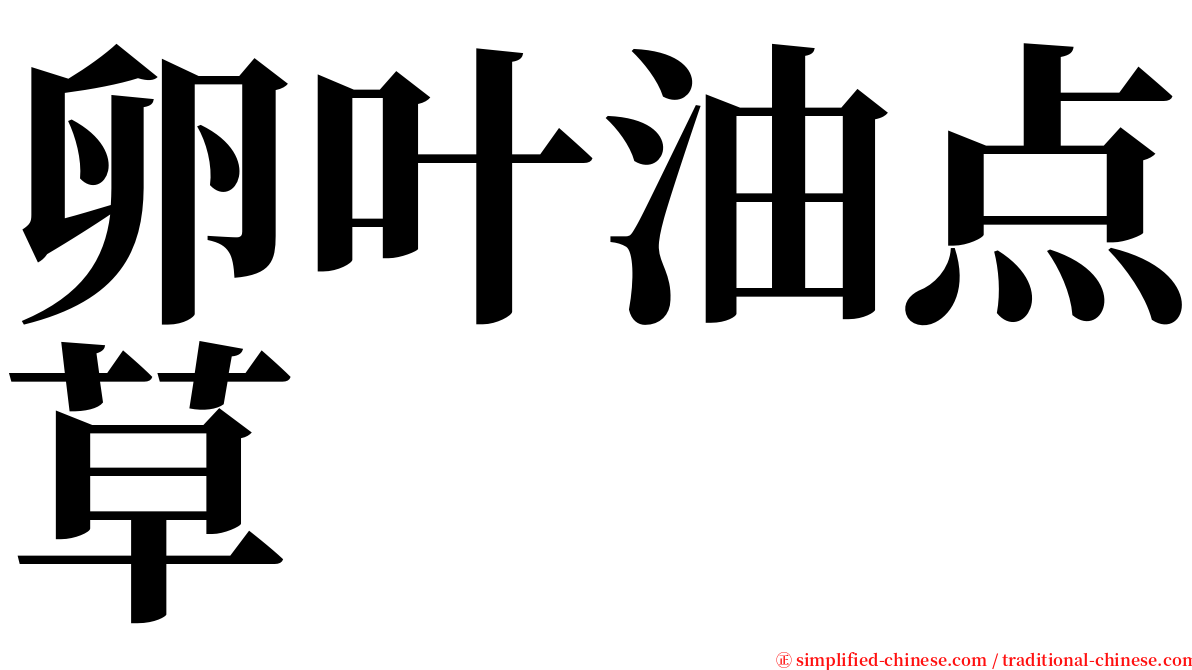 卵叶油点草 serif font