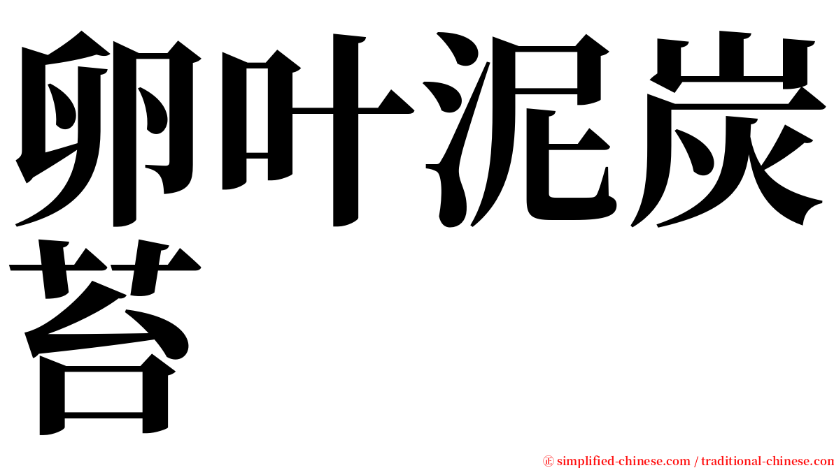 卵叶泥炭苔 serif font