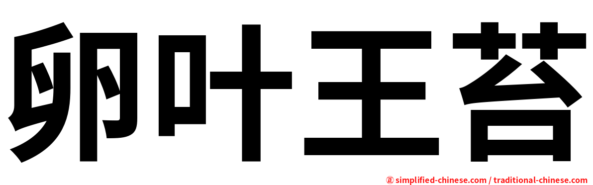 卵叶王苔