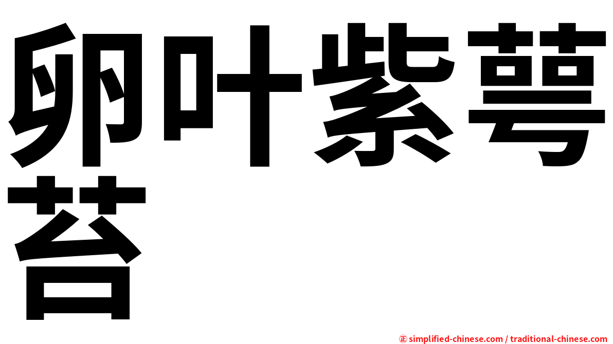 卵叶紫萼苔