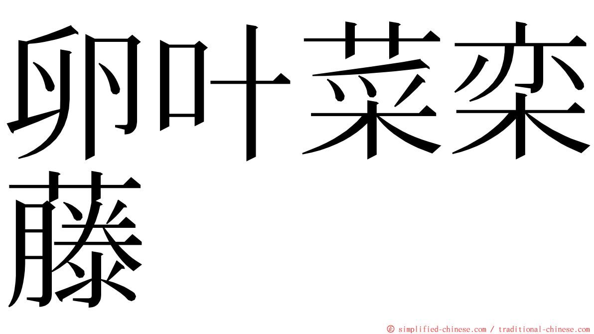 卵叶菜栾藤 ming font
