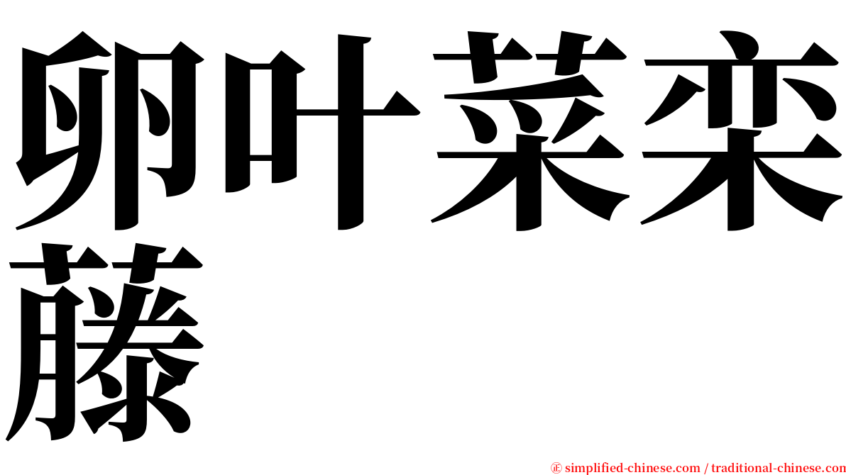 卵叶菜栾藤 serif font