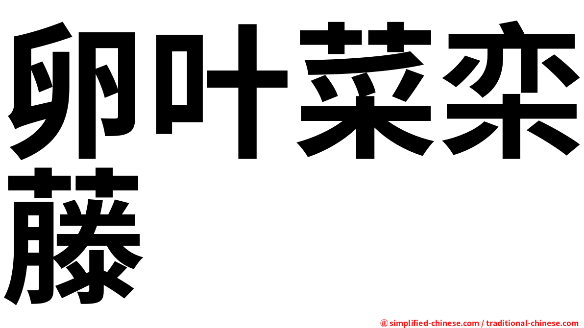 卵叶菜栾藤