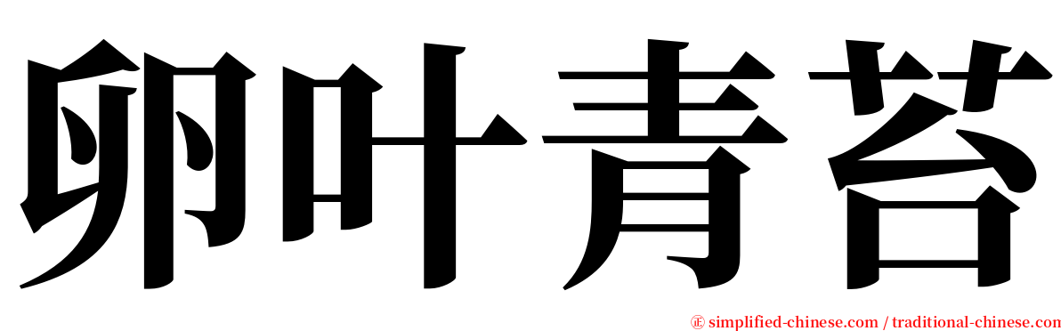 卵叶青苔 serif font
