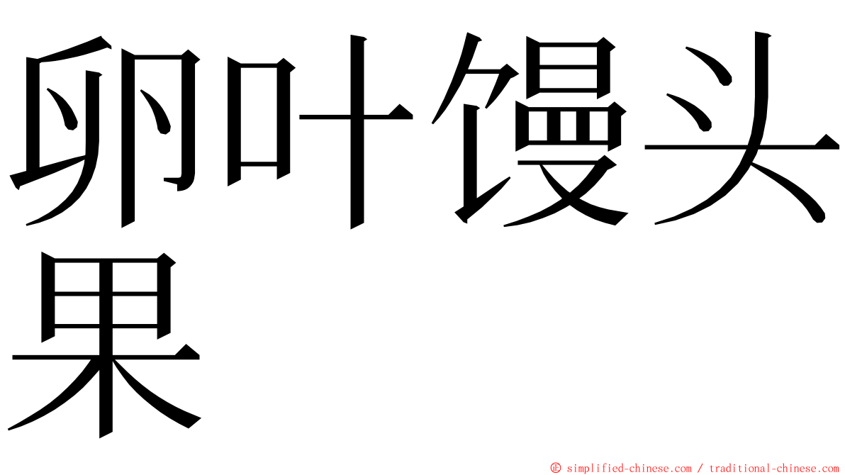 卵叶馒头果 ming font