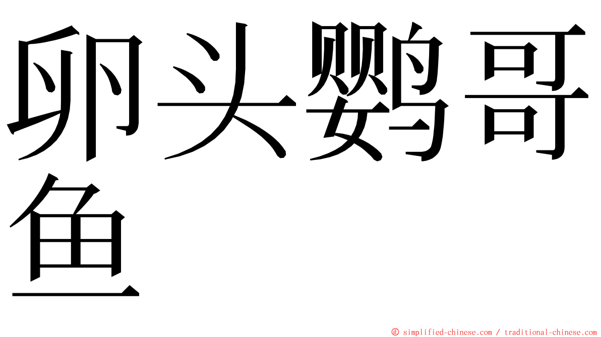 卵头鹦哥鱼 ming font
