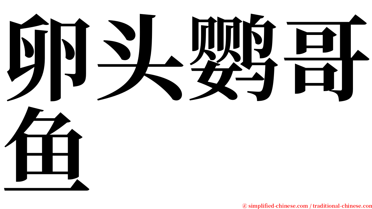 卵头鹦哥鱼 serif font
