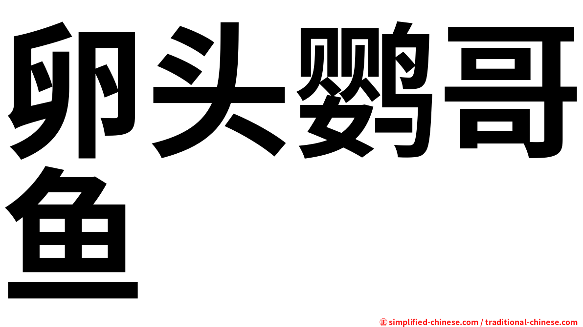 卵头鹦哥鱼