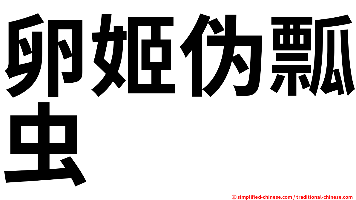 卵姬伪瓢虫