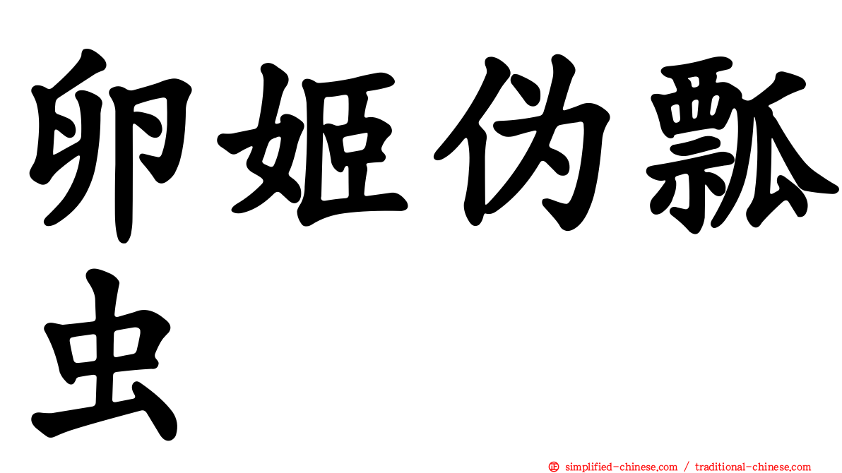 卵姬伪瓢虫