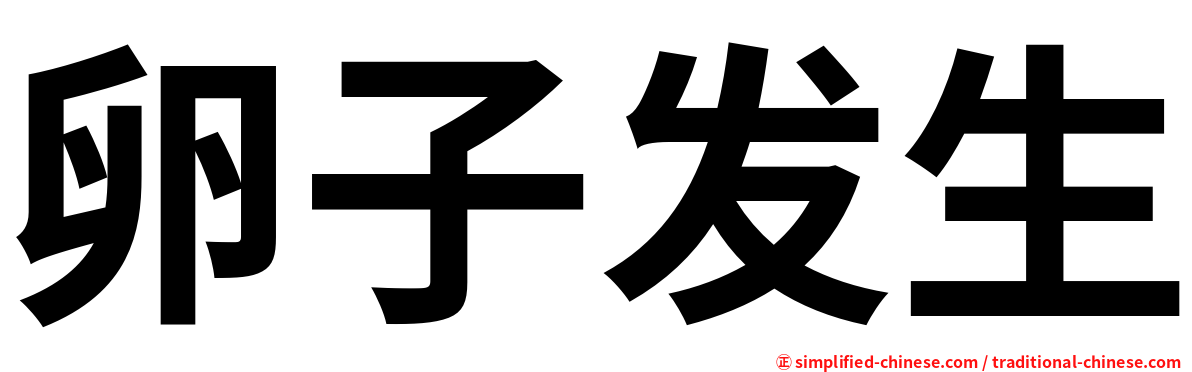 卵子发生