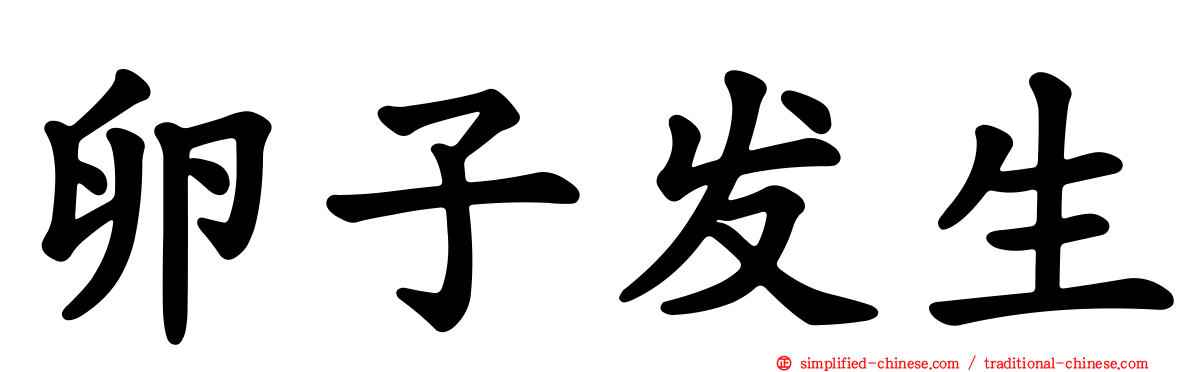 卵子发生