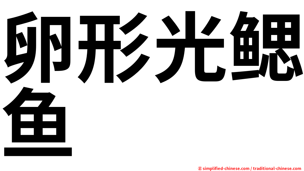 卵形光鳃鱼