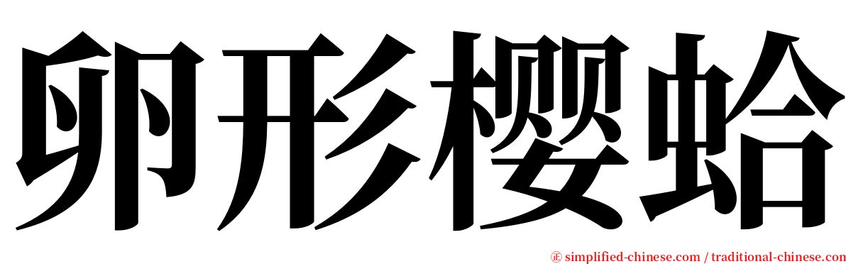 卵形樱蛤 serif font