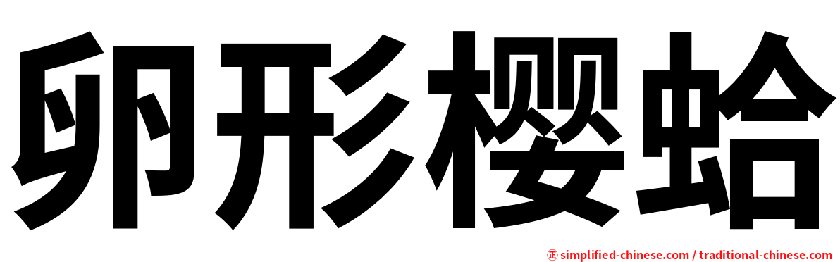 卵形樱蛤
