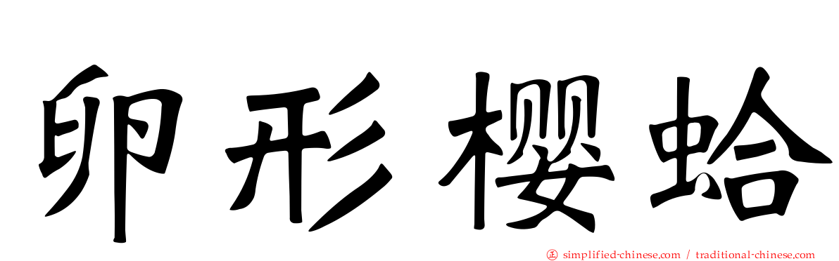 卵形樱蛤
