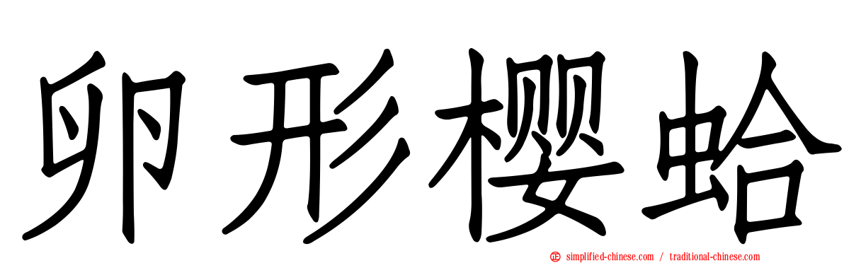 卵形樱蛤