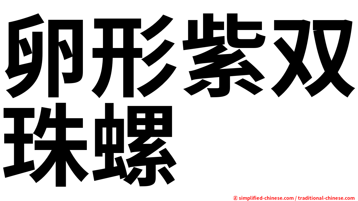 卵形紫双珠螺