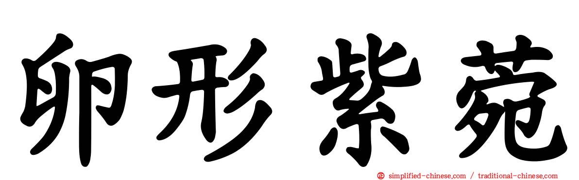卵形紫菀