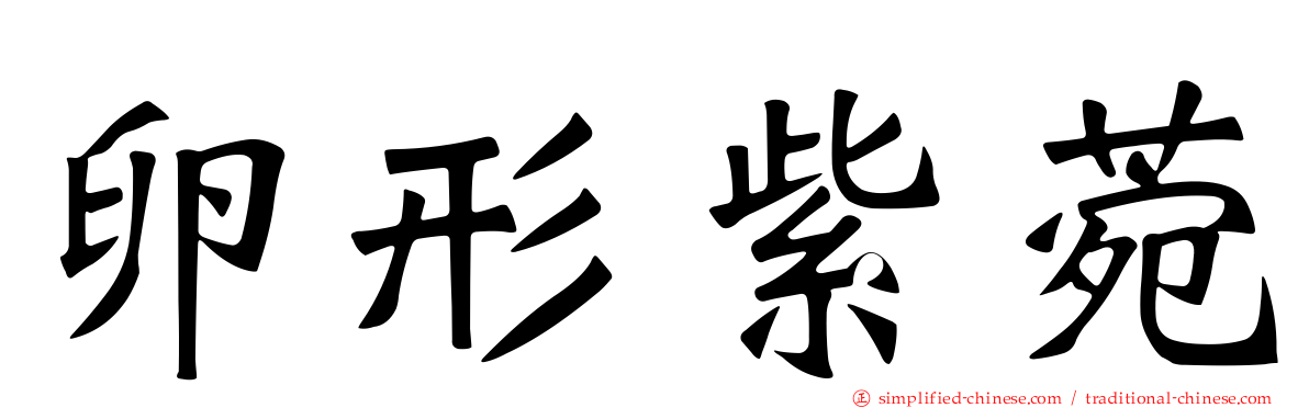 卵形紫菀
