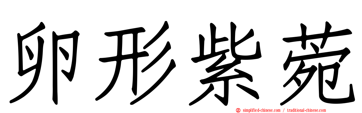 卵形紫菀