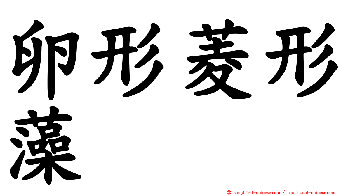 卵形菱形藻