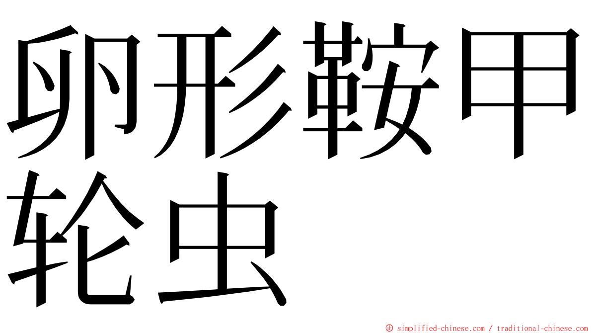 卵形鞍甲轮虫 ming font