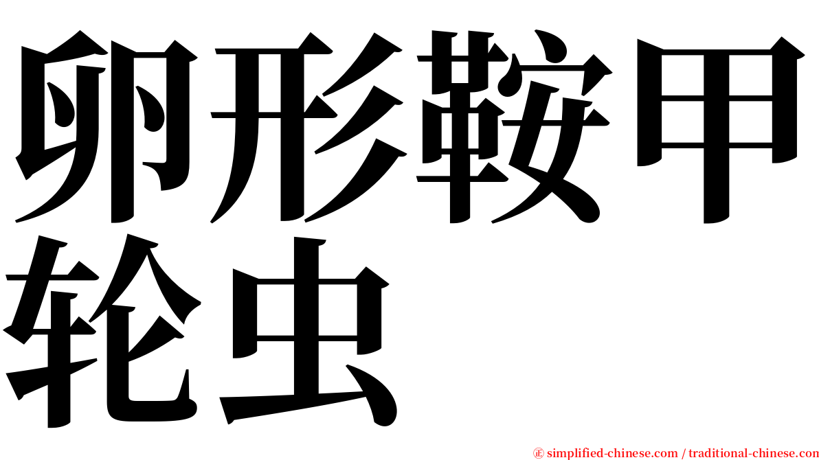 卵形鞍甲轮虫 serif font