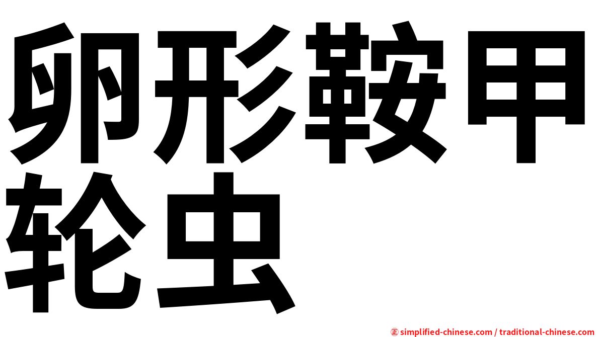 卵形鞍甲轮虫