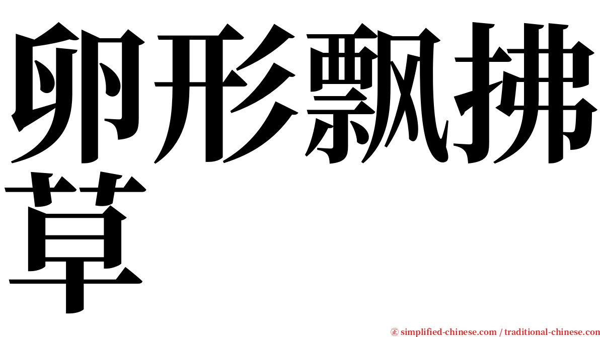 卵形飘拂草 serif font