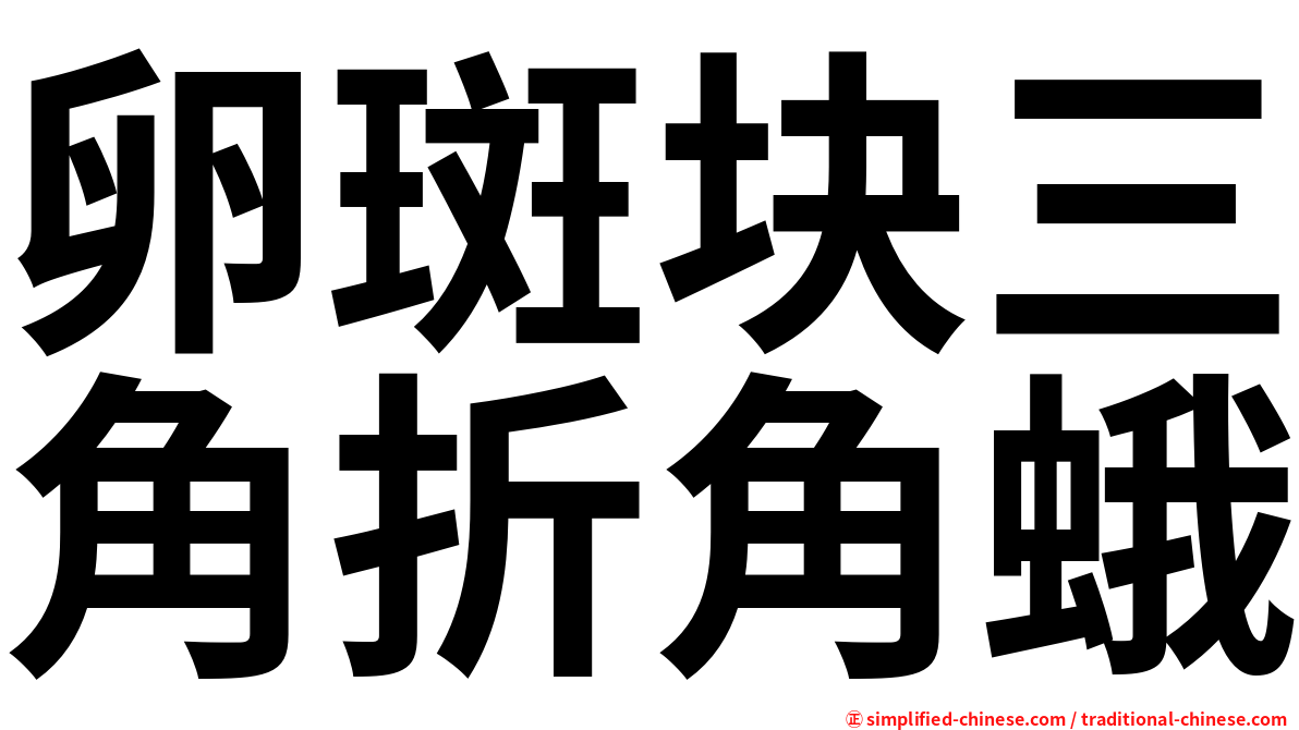 卵斑块三角折角蛾