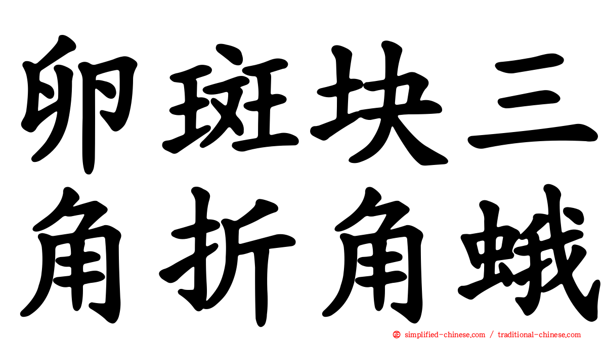 卵斑块三角折角蛾