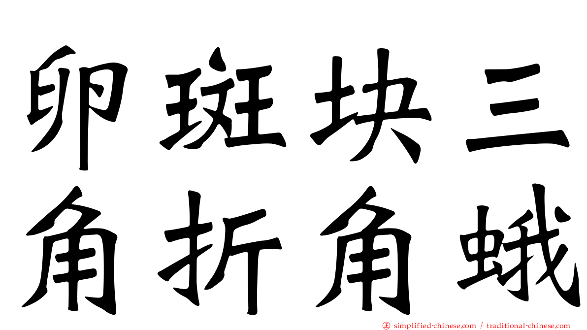 卵斑块三角折角蛾