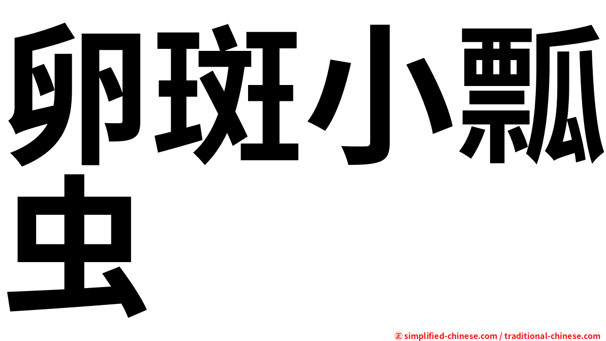卵斑小瓢虫