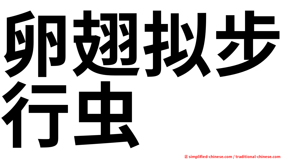 卵翅拟步行虫