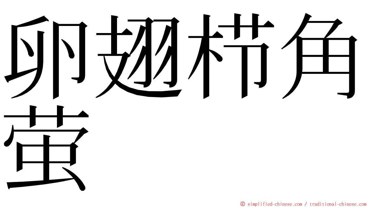卵翅栉角萤 ming font