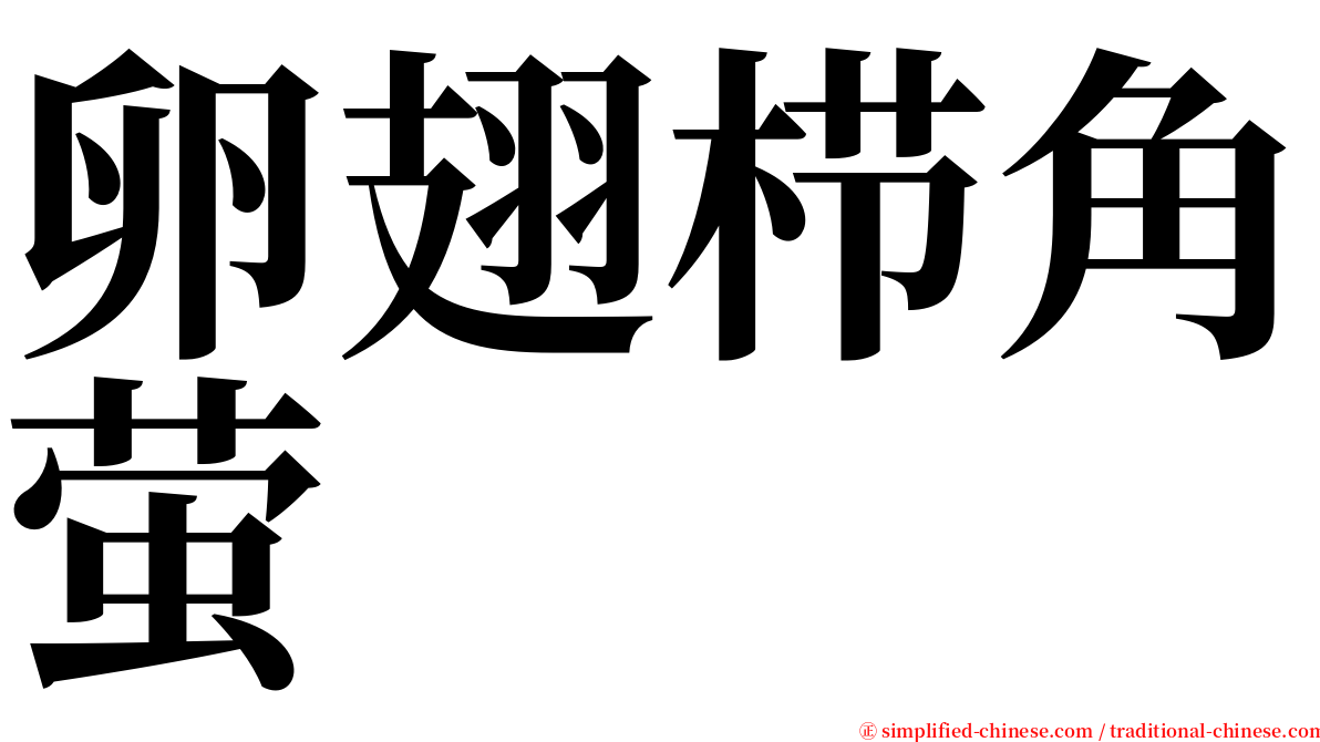 卵翅栉角萤 serif font