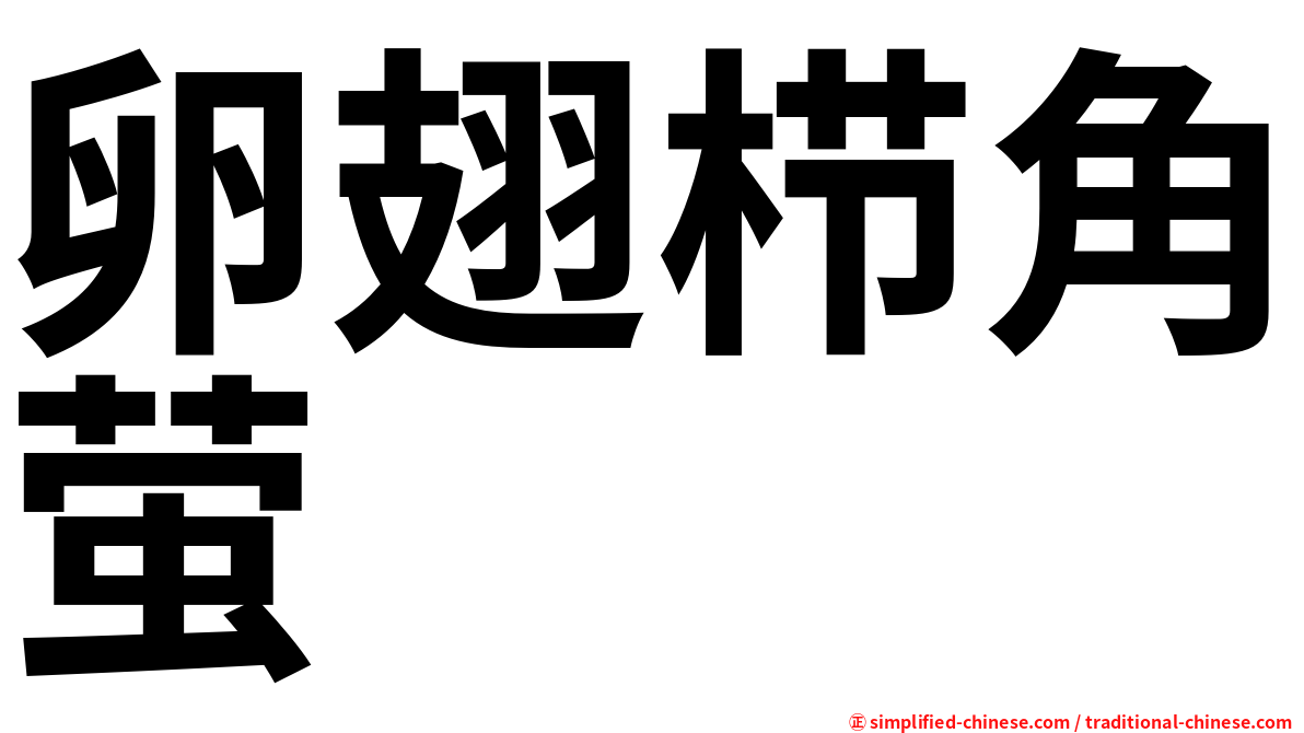 卵翅栉角萤