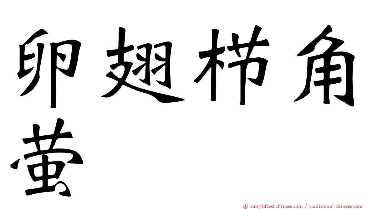 卵翅栉角萤