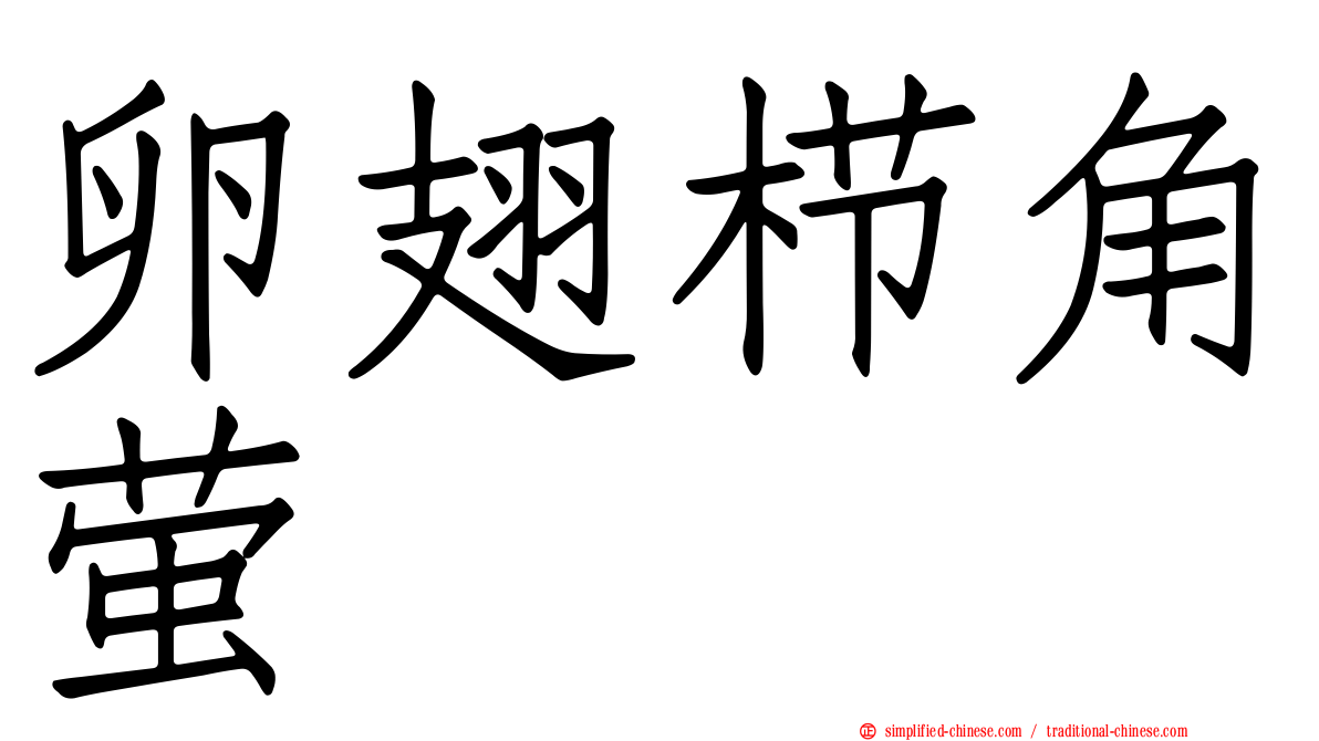 卵翅栉角萤