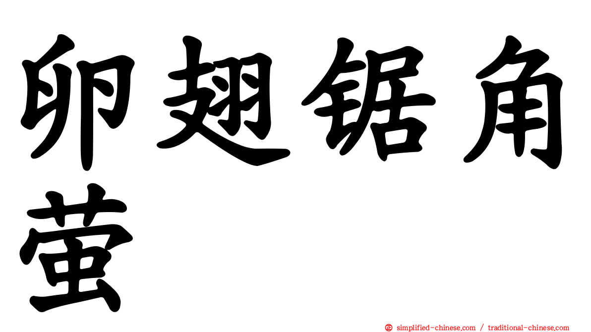 卵翅锯角萤