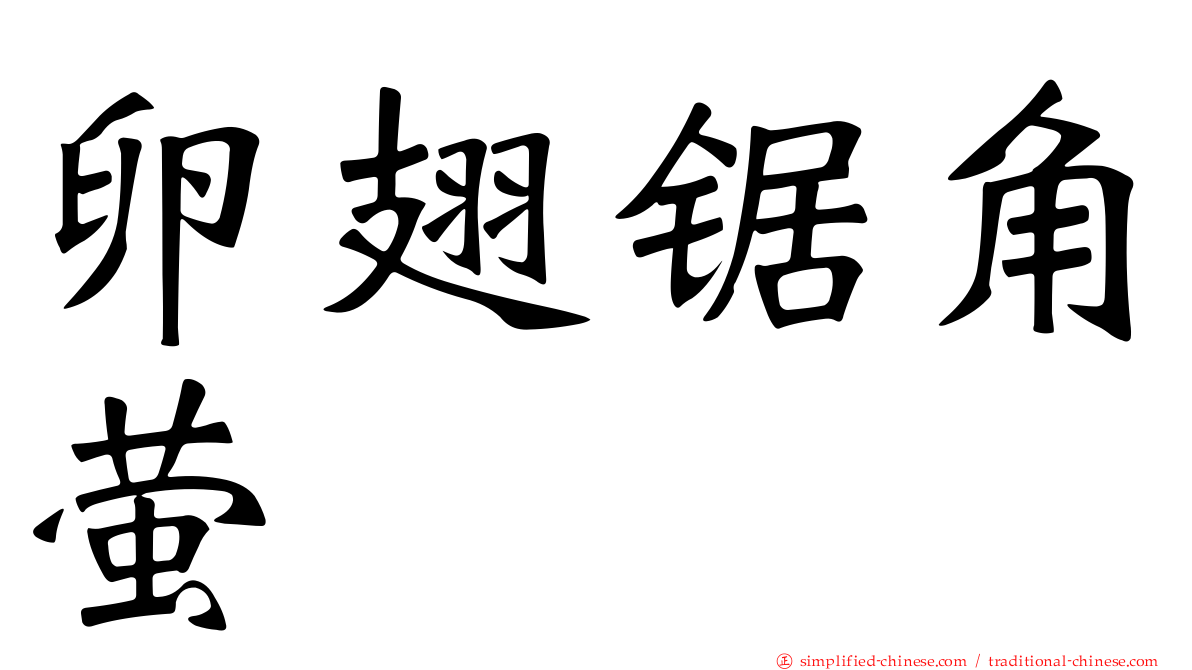 卵翅锯角萤