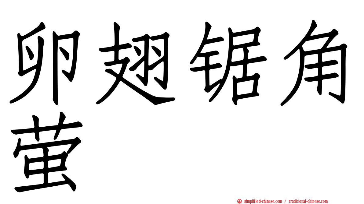 卵翅锯角萤