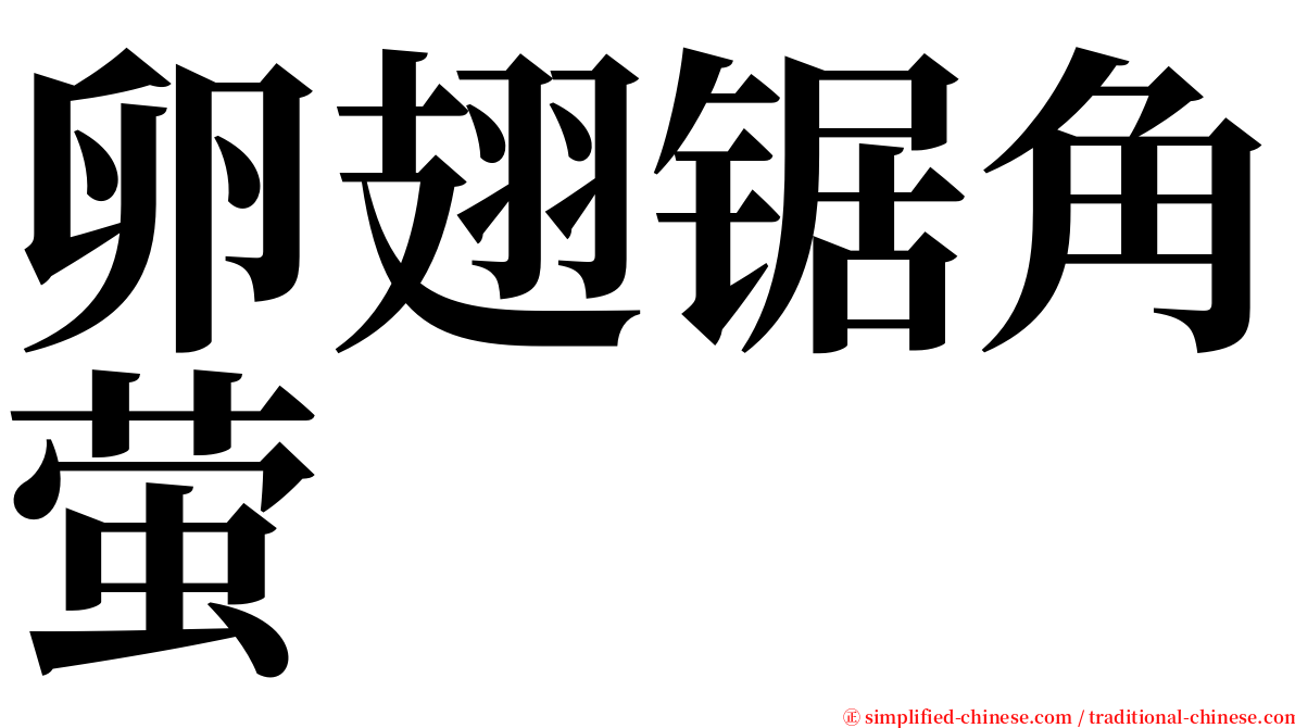 卵翅锯角萤 serif font
