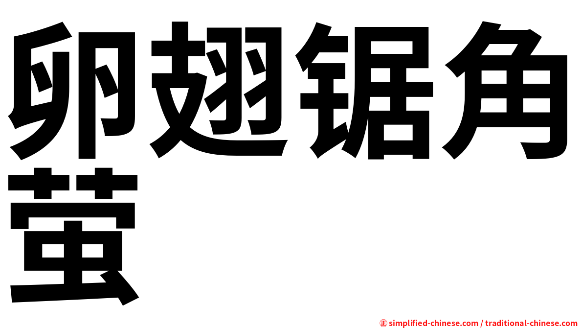 卵翅锯角萤