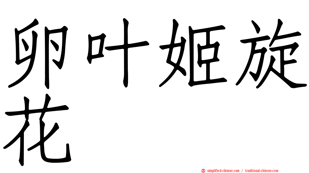 卵叶姬旋花