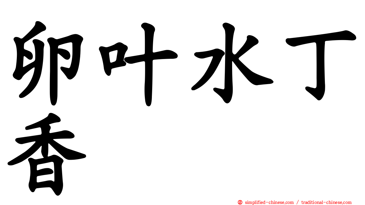 卵叶水丁香