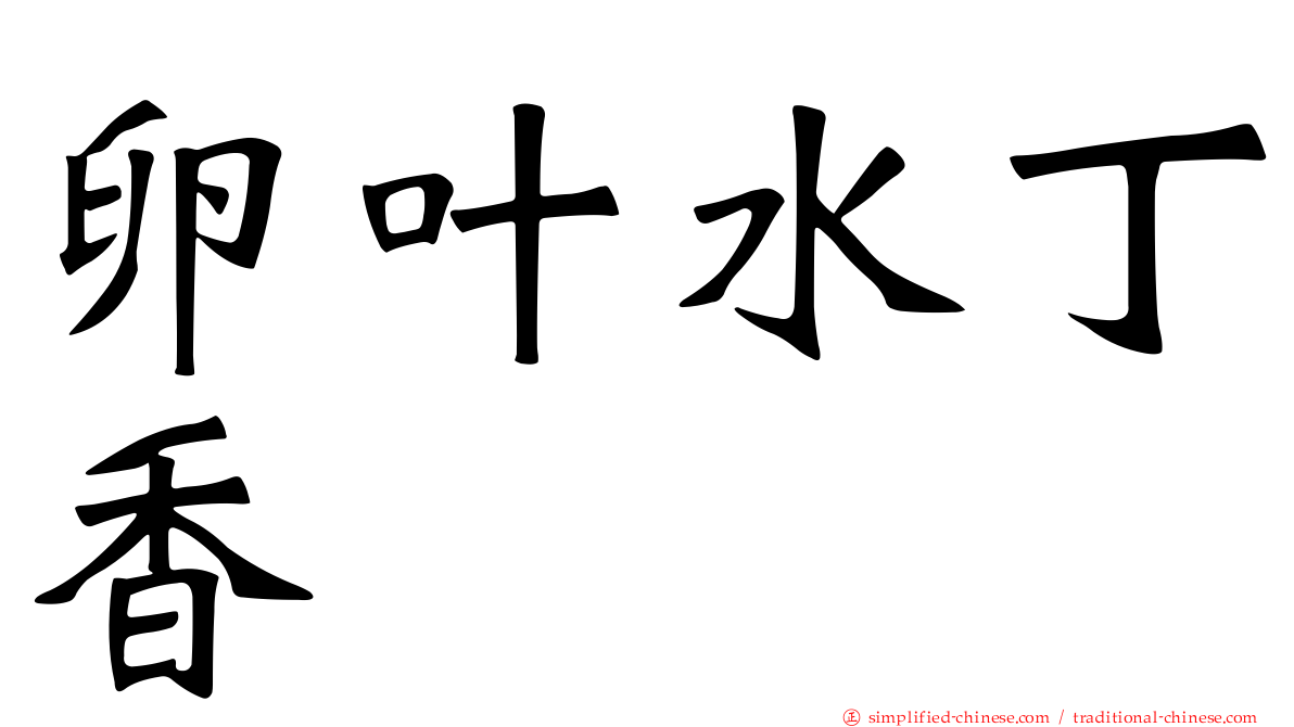 卵叶水丁香
