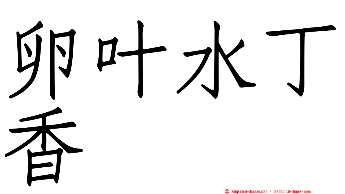 卵叶水丁香